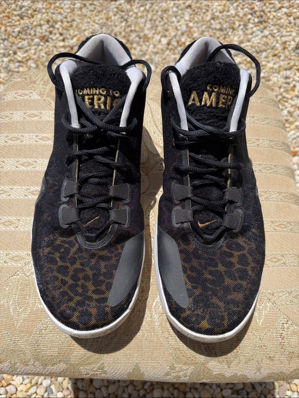Nike Zoom Freak 1 "Coming to America" basketball sneaker